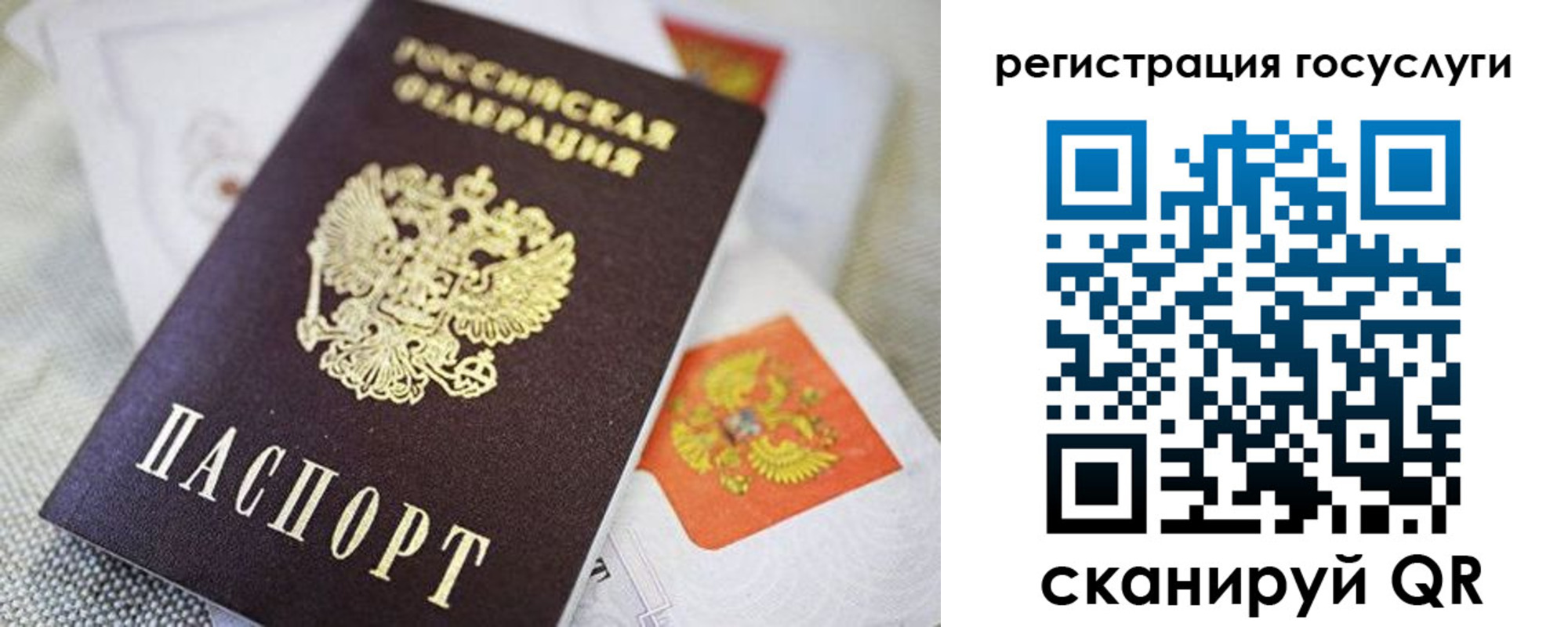 прописка паспорт в Светогорске